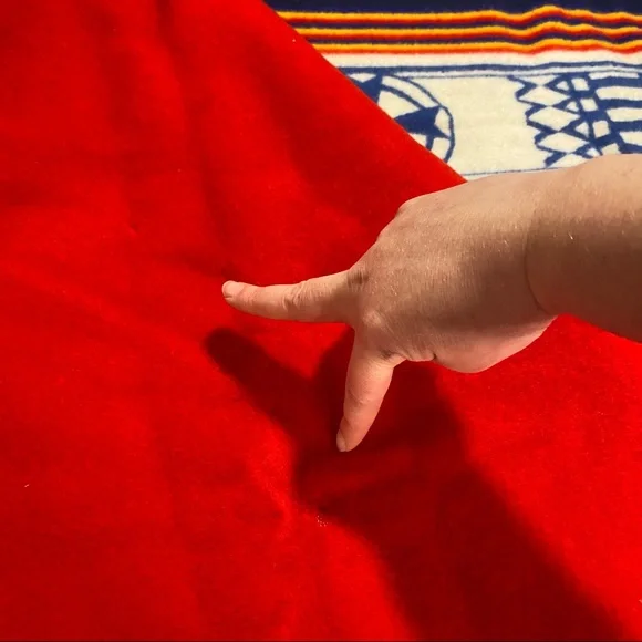 NWT Pendleton Day and Night Robe Hope Series Arthur Amiotte Native Blanket Beave - Picture 5 of 9